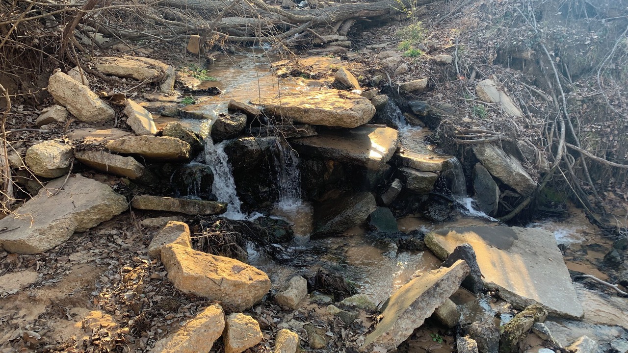 Photo of Others in Marietta