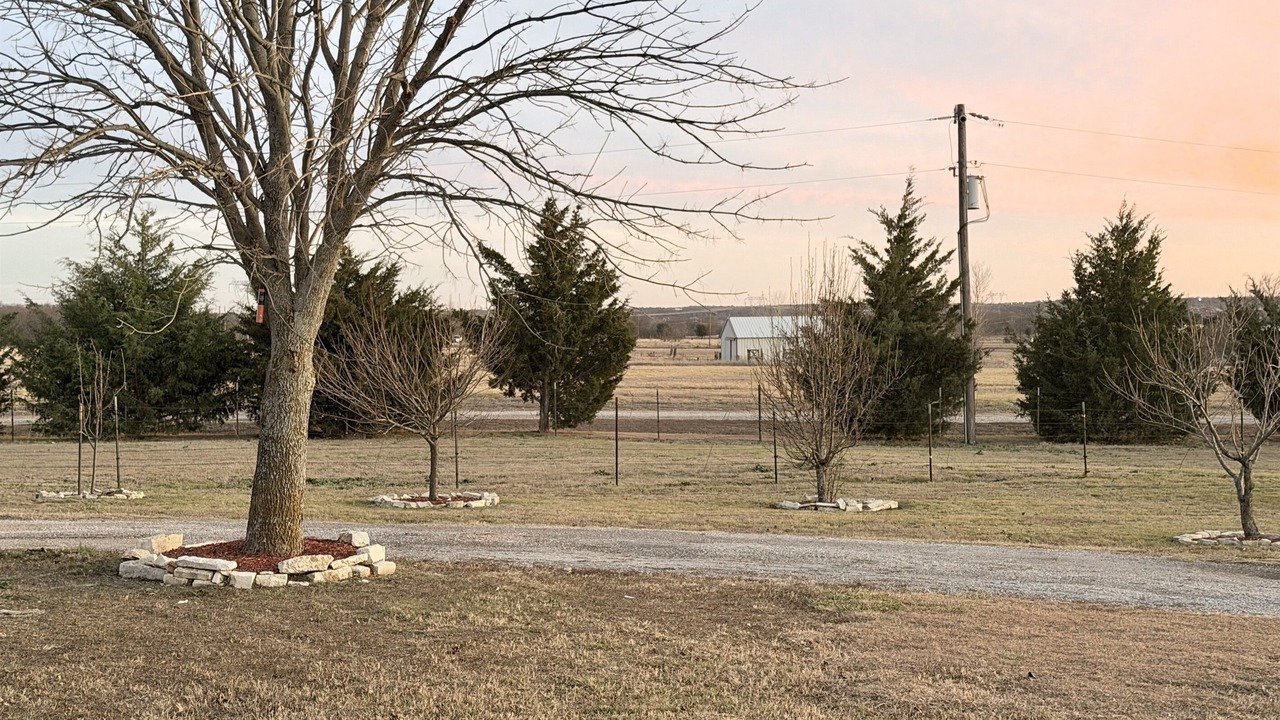 Photo of Outdoor in Weston