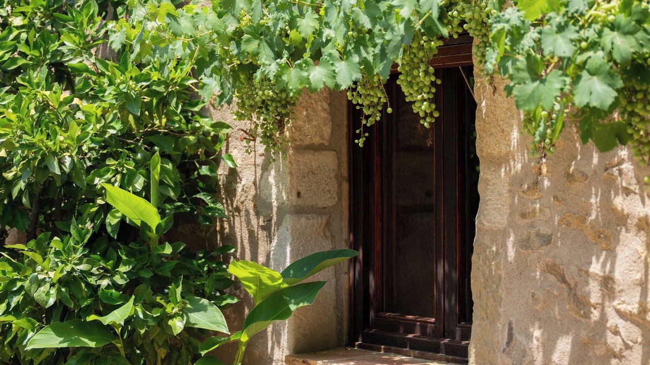 Photo of Outdoor in Aiguaviva