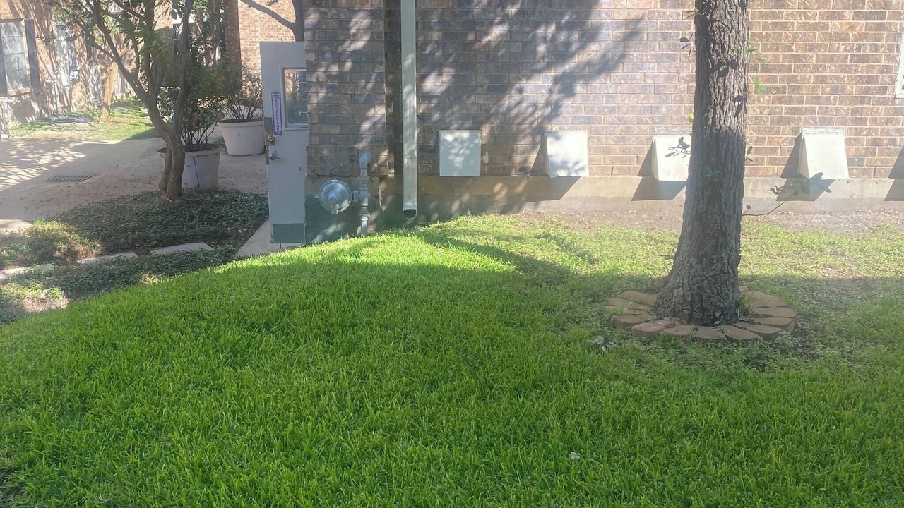 Photo of Outdoor in Medical Center District