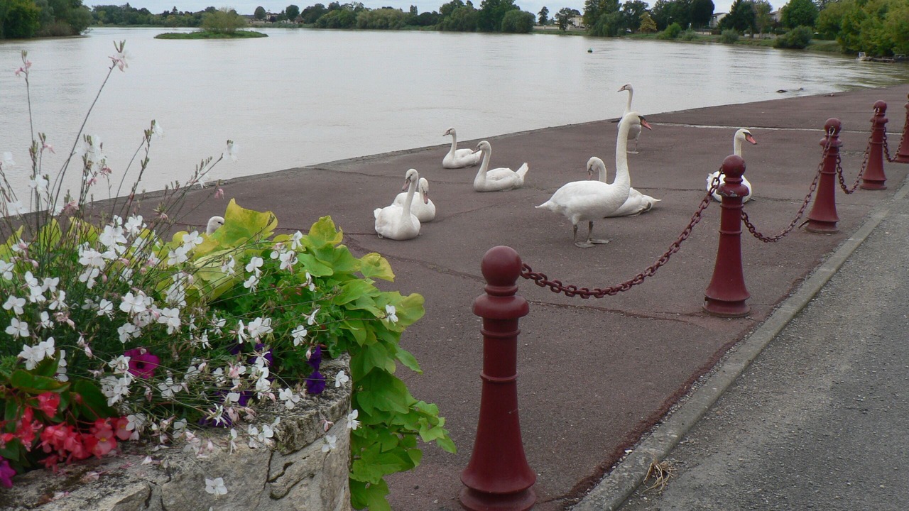 Photo of Others in Vignonet
