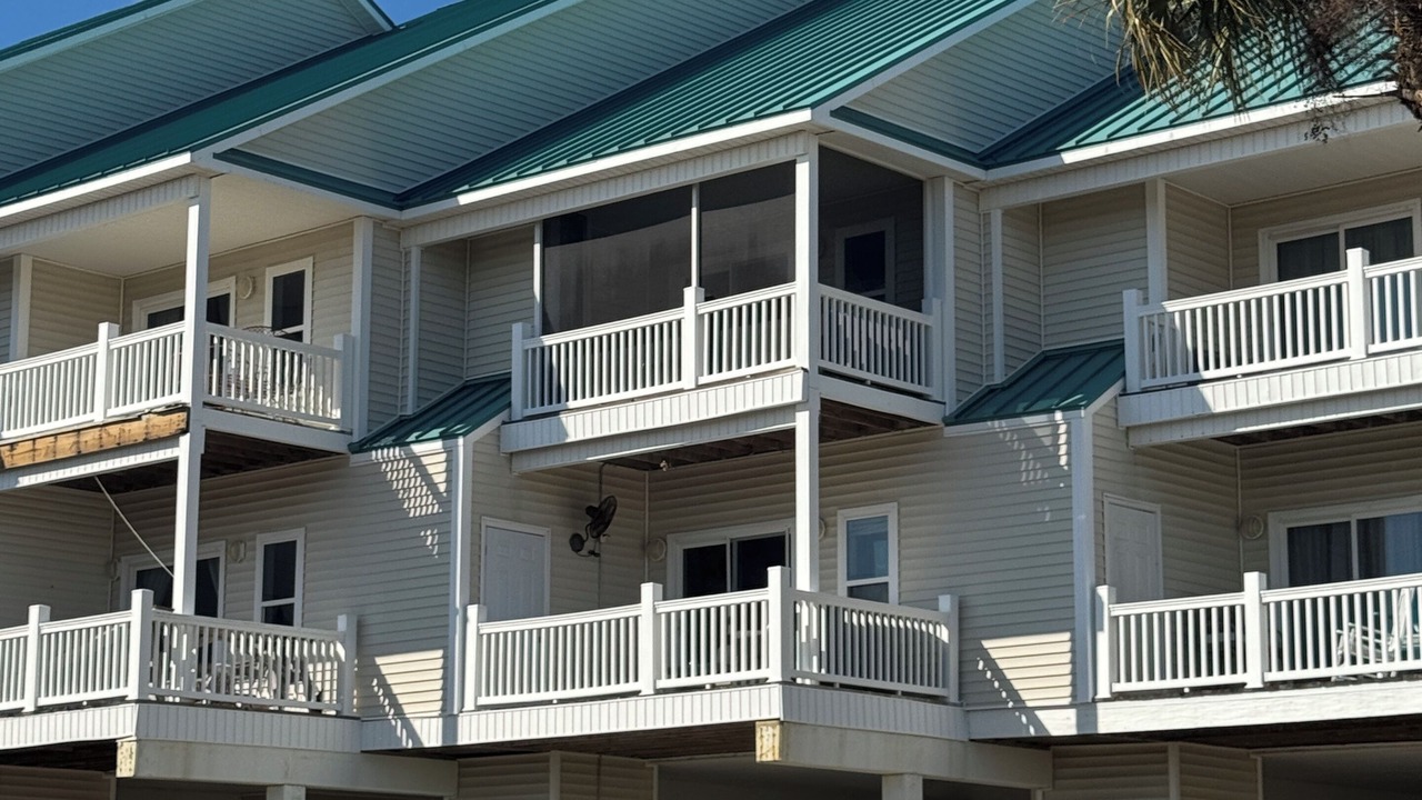 Photo of Outdoor in Alligator Point