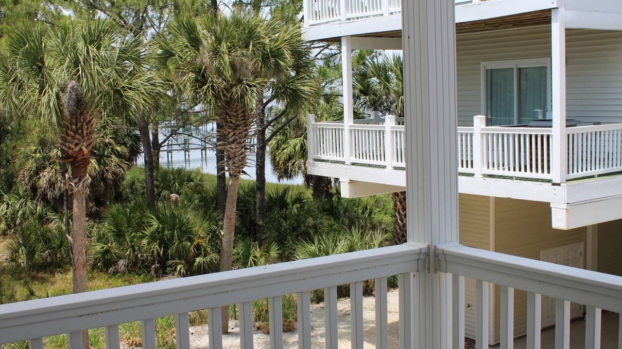 Photo of Outdoor in Alligator Point
