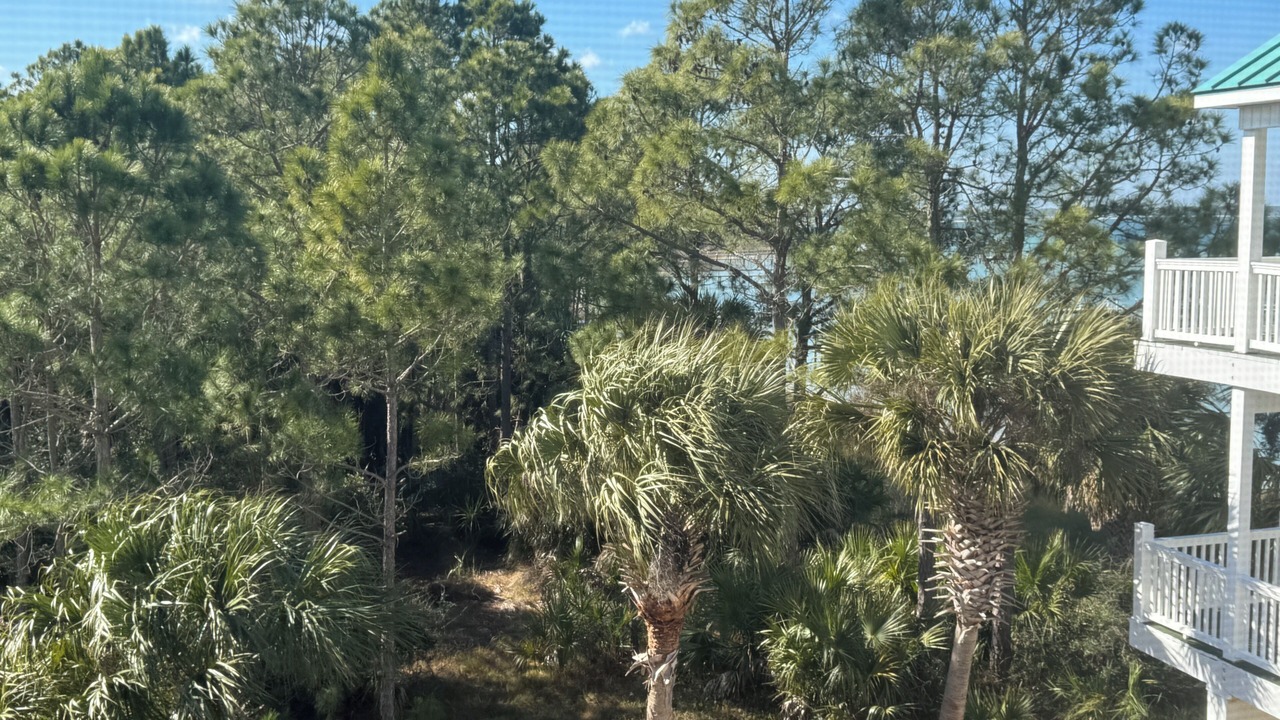 Photo of Patio Balcony in Alligator Point