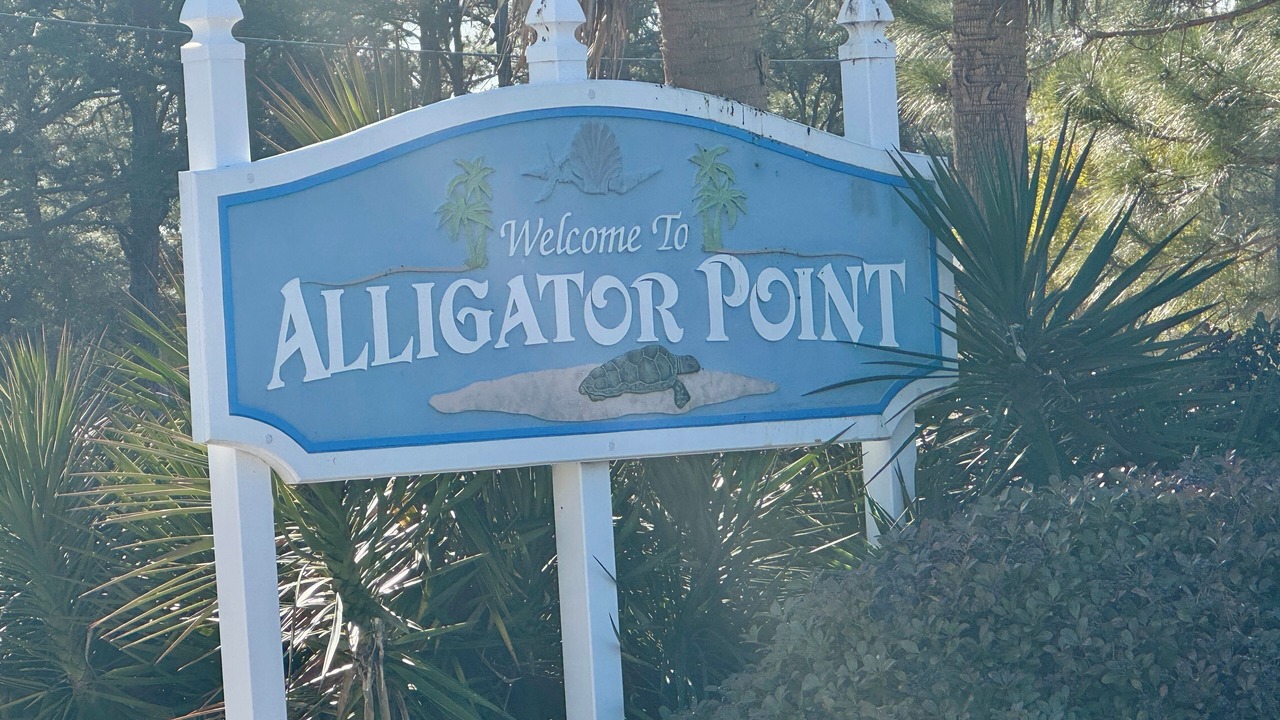Photo of Others in Alligator Point