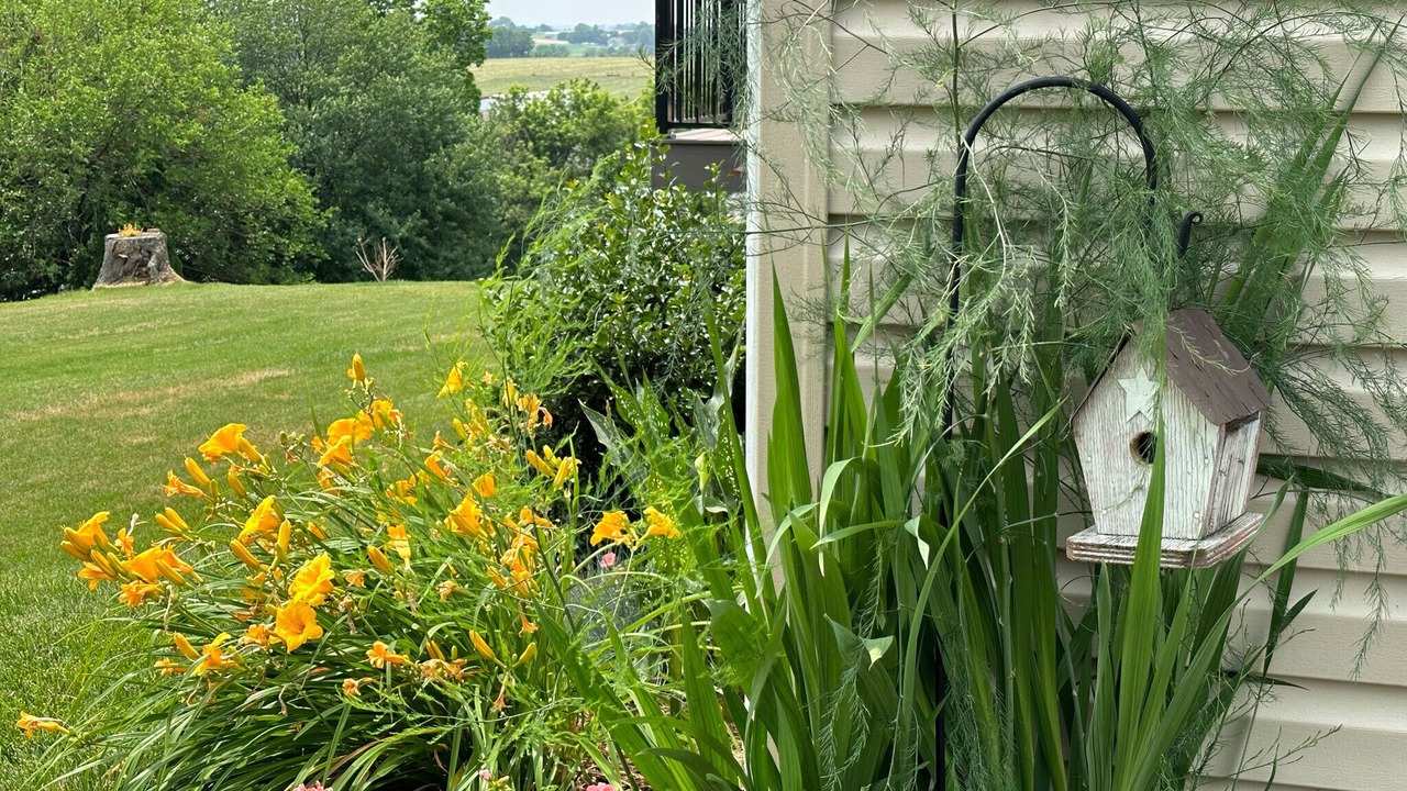 Photo of Outdoor in Ronks