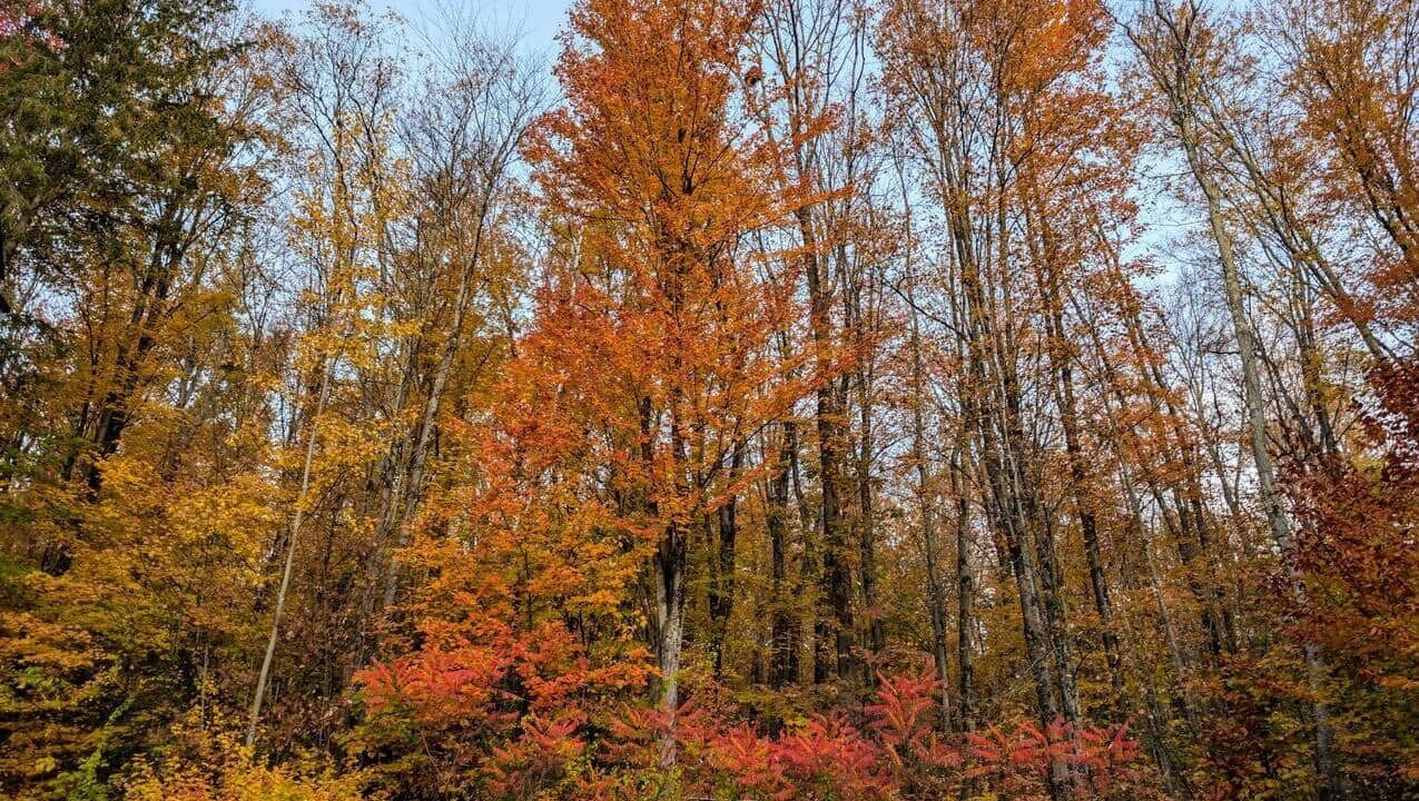 Photo of Outdoor in Richmond