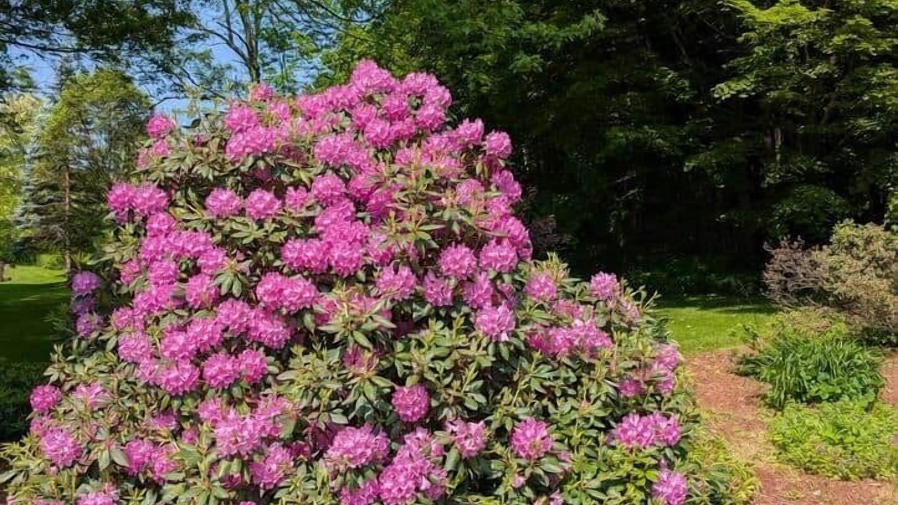 Photo of Outdoor in Richmond