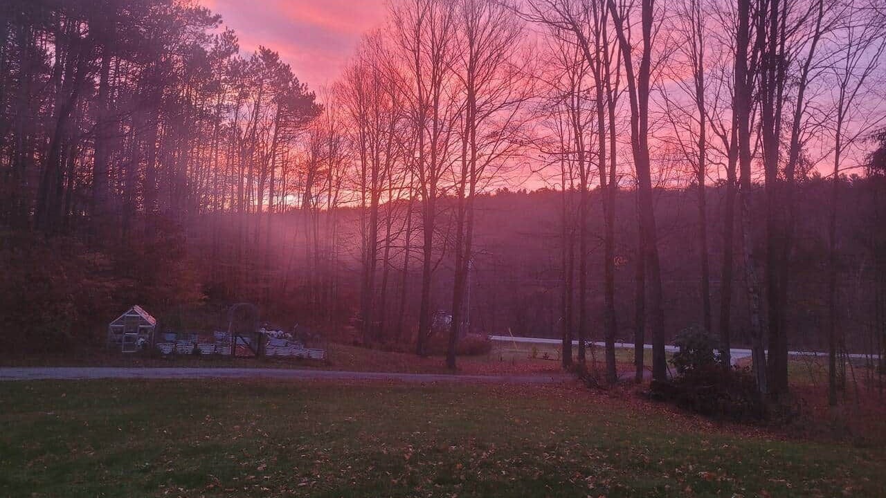 Photo of Outdoor in Richmond