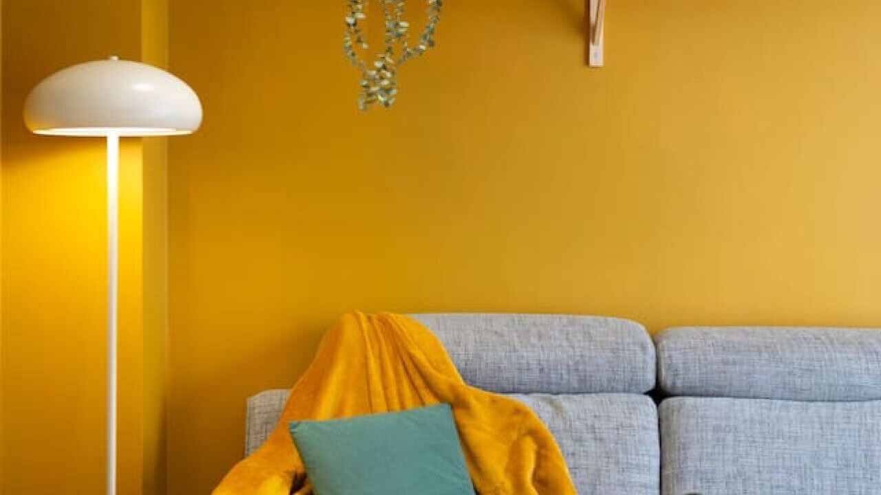 Photo of Others in Bussy-Saint-Georges