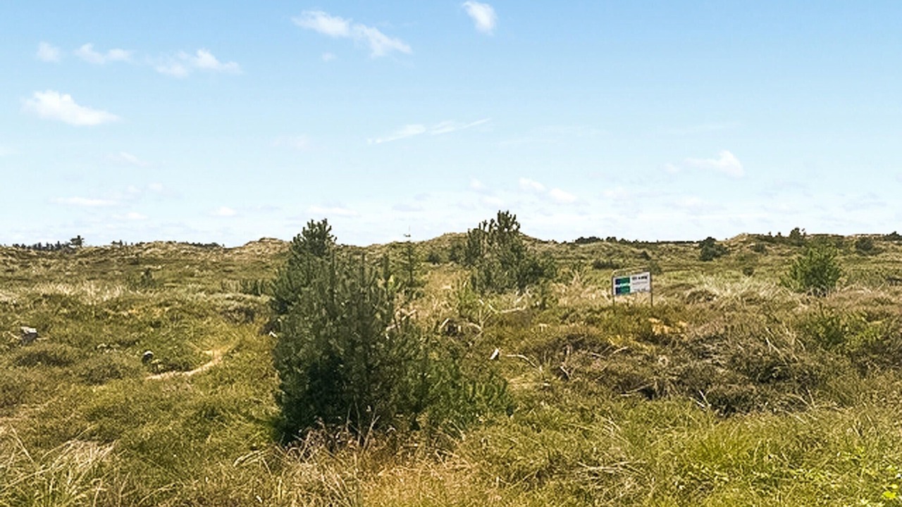Photo of Others in Thisted Municipality
