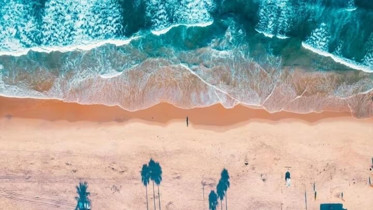Photo of Others in Del Mar Heights