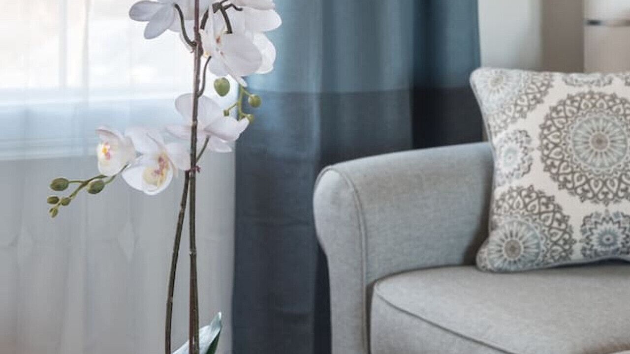 Photo of Livingroom in Western Shore