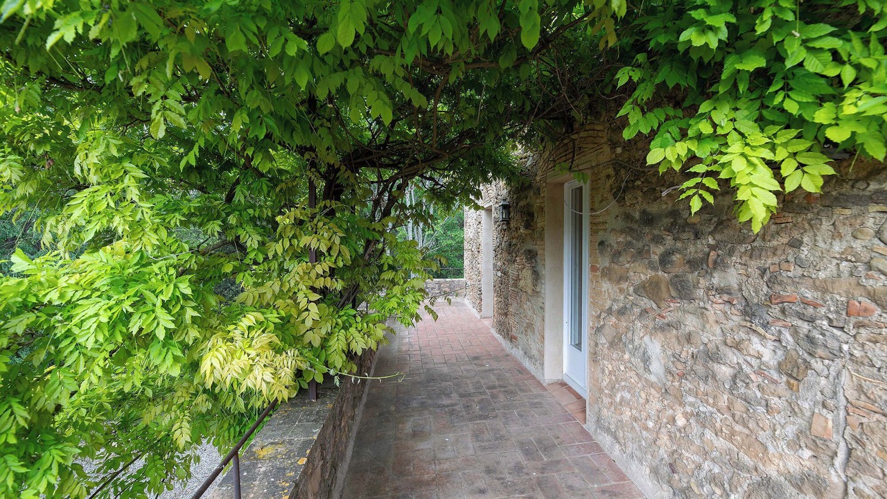 Photo of Outdoor in Queixas