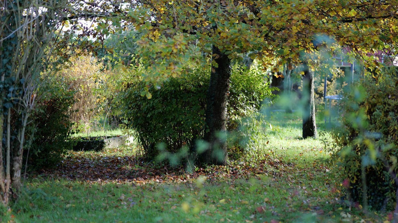 Photo of Outdoor in Le Torpt