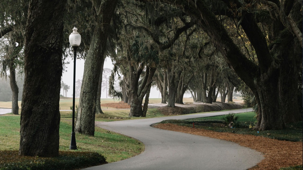 Photo of Others in Saint Simons Heights