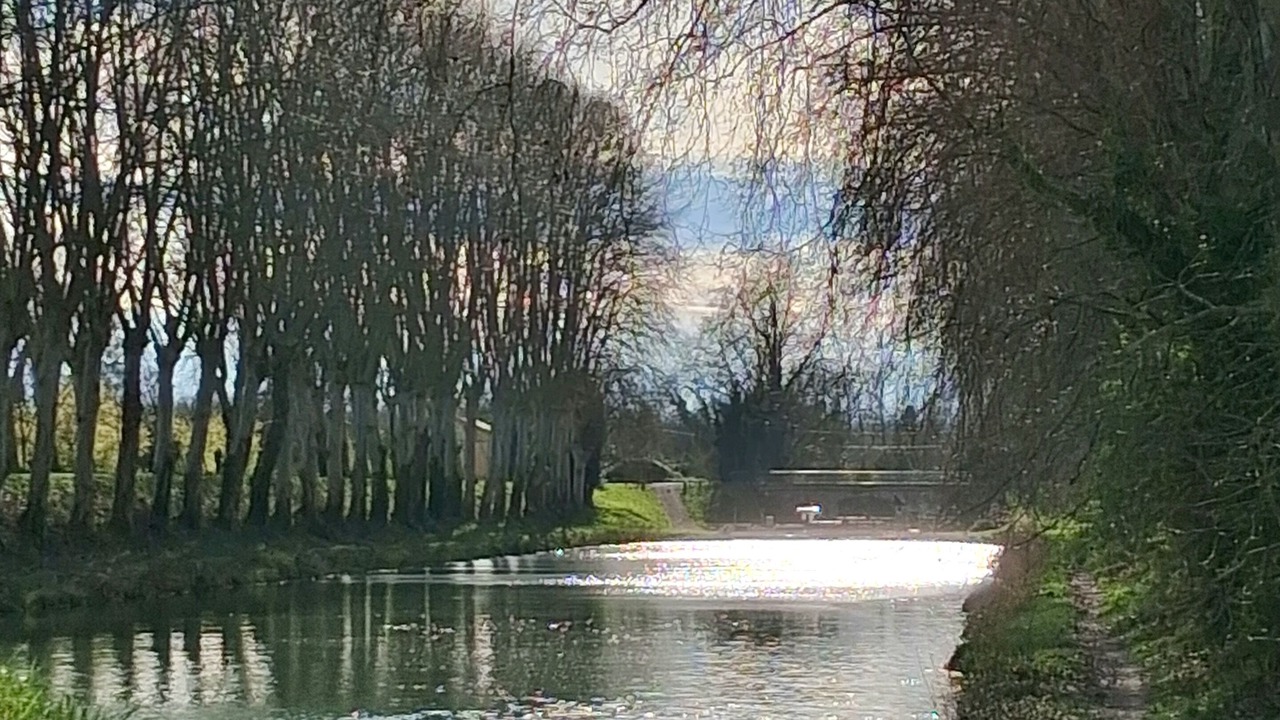 Photo of Others in Le Passage