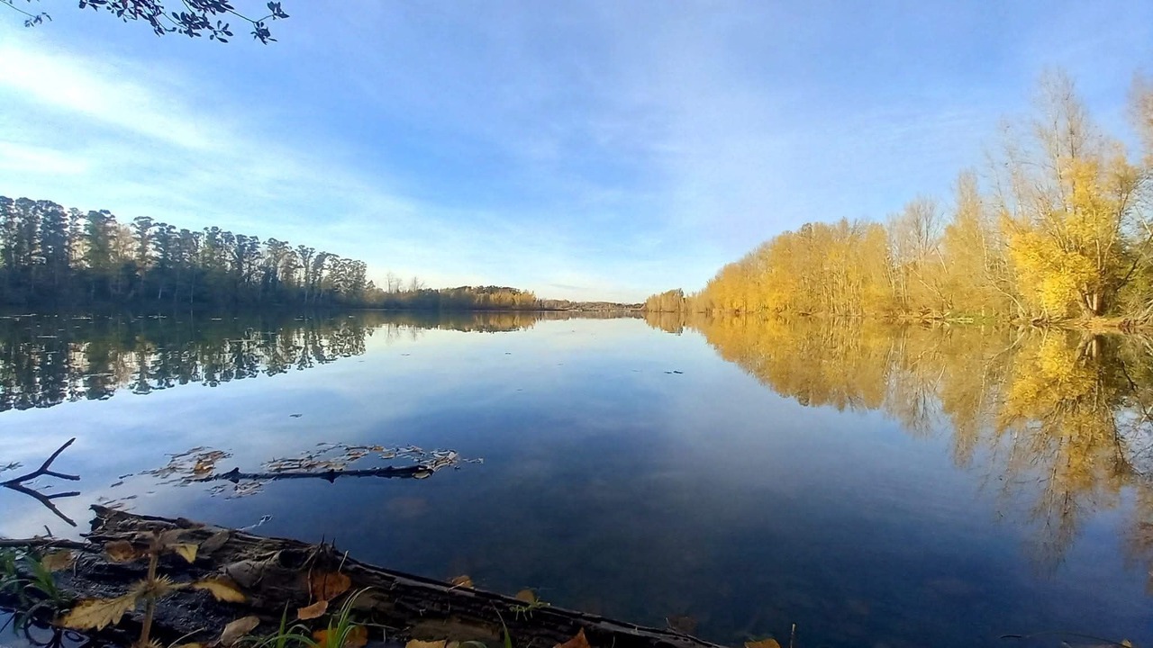 Photo of Others in Le Passage