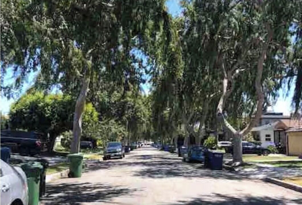 Photo of Others in Del Rey