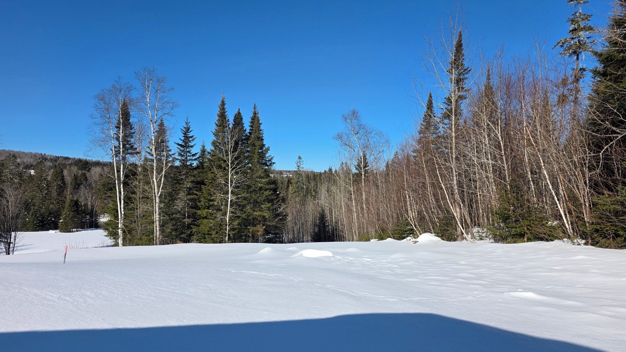 Photo of Others in Wallagrass