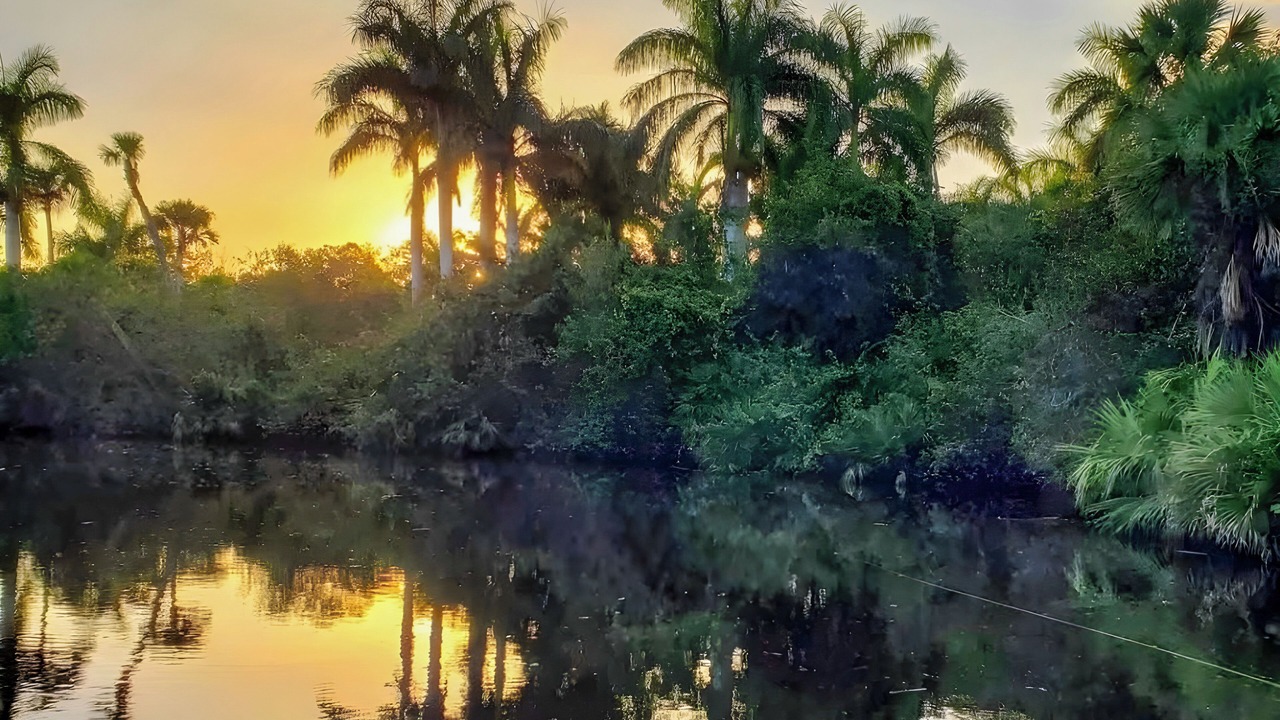 Photo of Others in Stuart