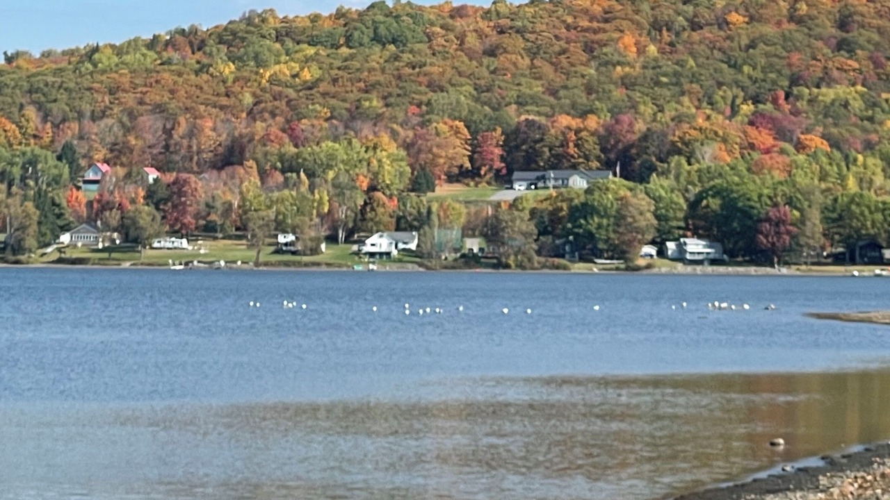 Photo of Others in Portage Lake