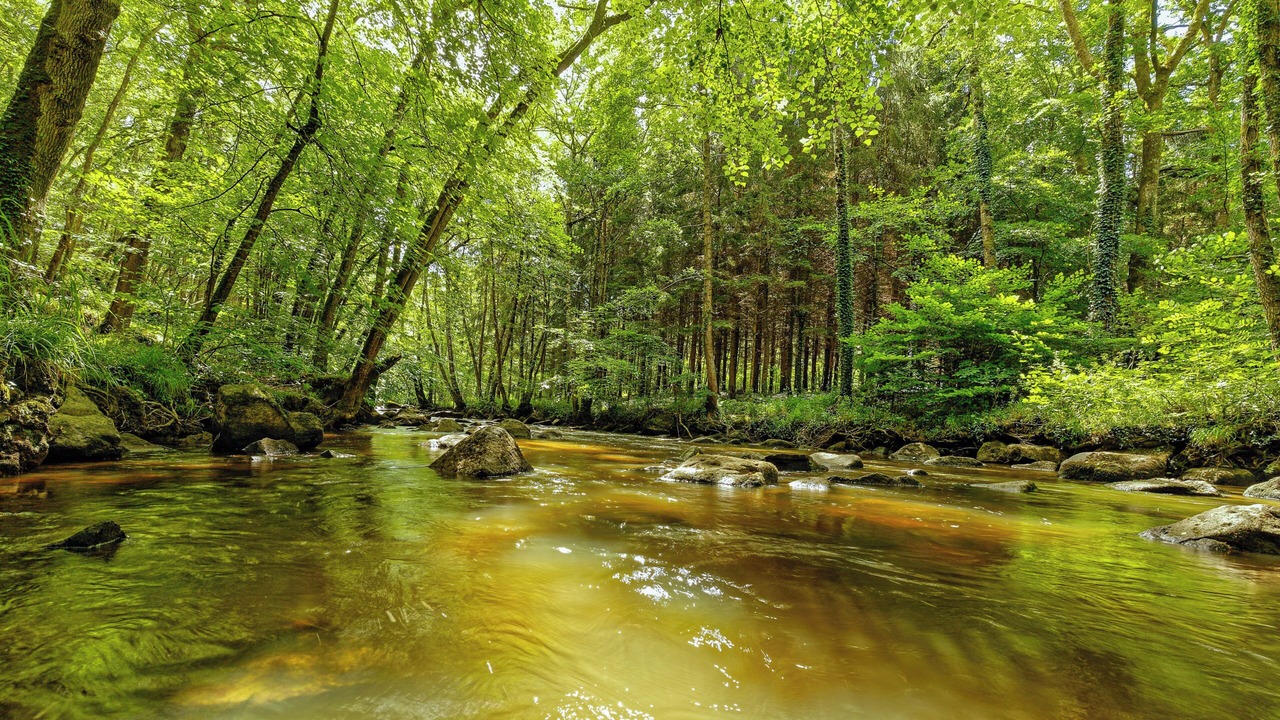 Photo of Others in La Foret-Auvray