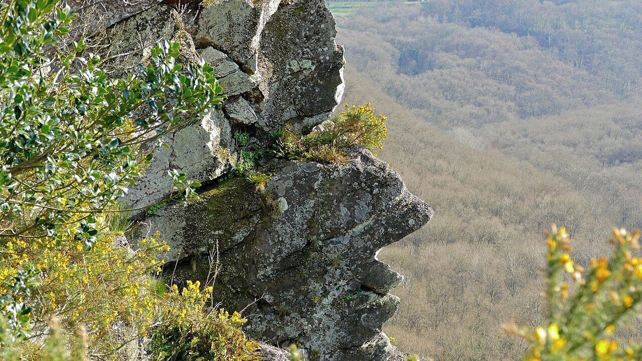 Photo of Others in La Foret-Auvray