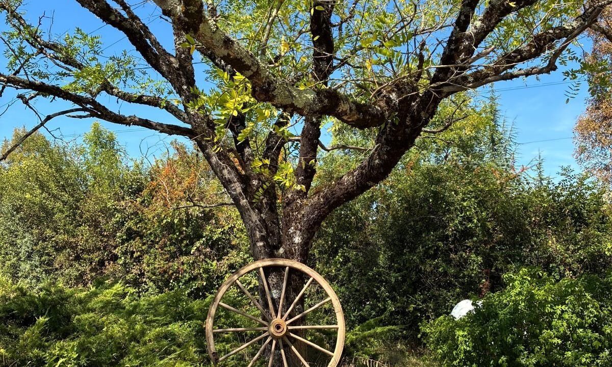 Photo of Outdoor in Belveze