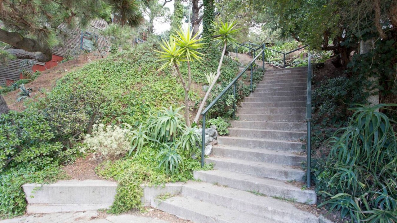 Photo of Outdoor in Bernal Heights