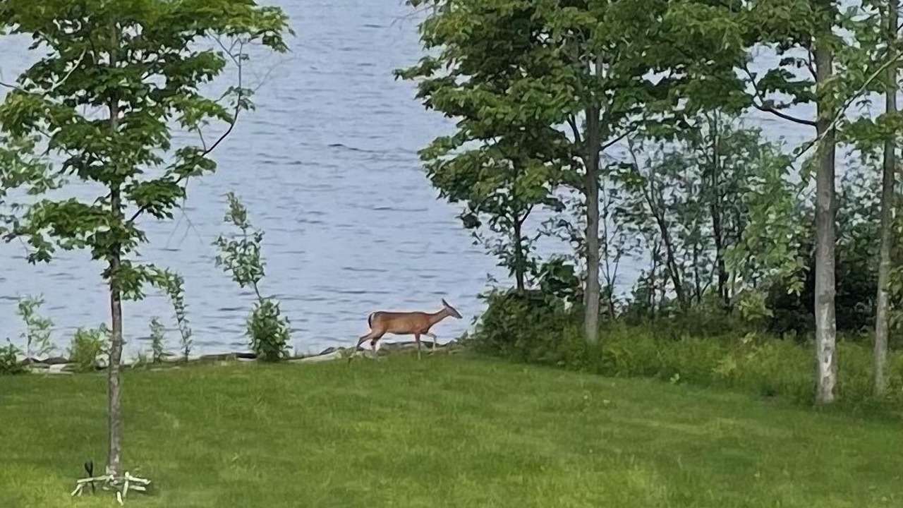 Photo of Others in Madawaska Valley