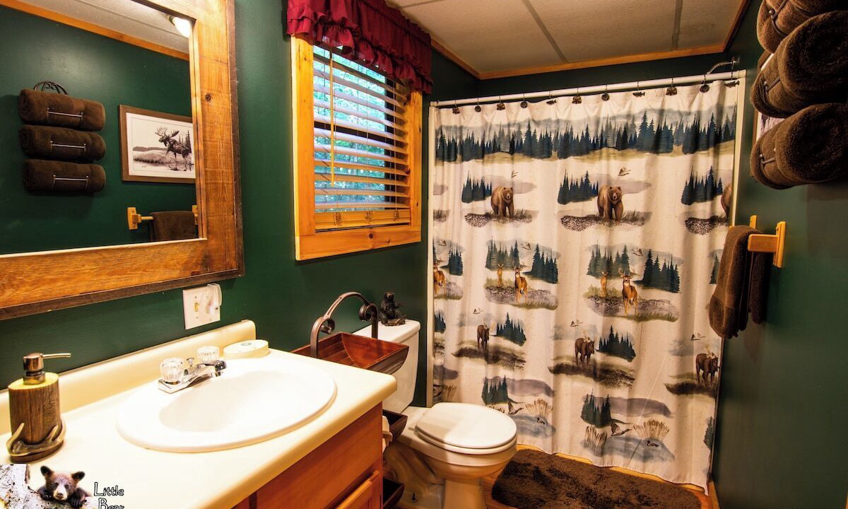 Photo of Bathroom in Young Harris