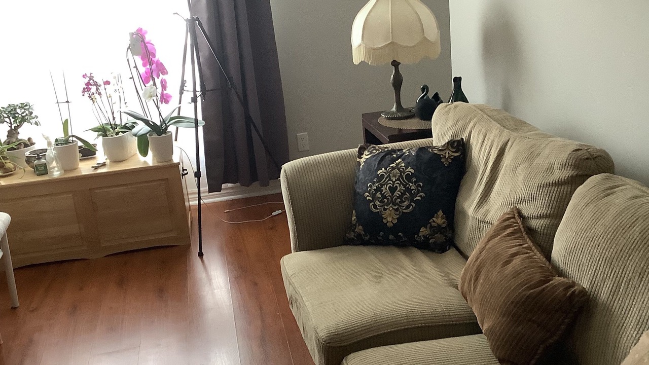Photo of Livingroom in Algoma District