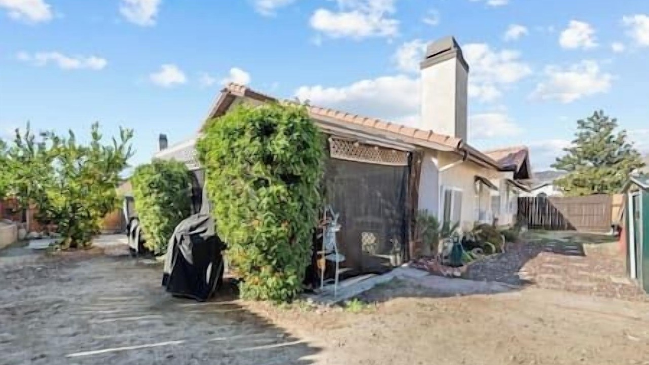 Photo of Outdoor in San Jacinto