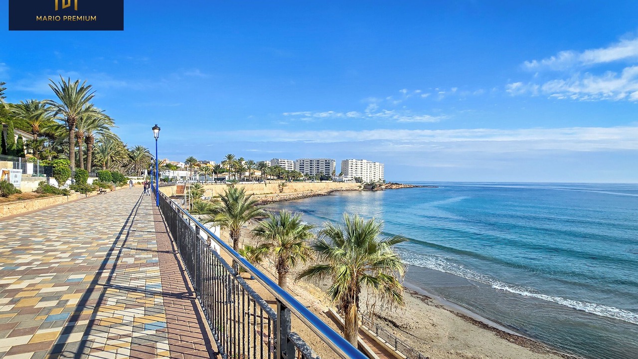 Photo of Others in La Marina
