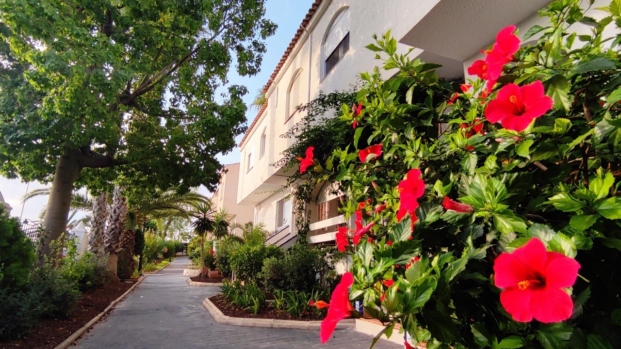 Photo of Outdoor in Los Arenales del Sol