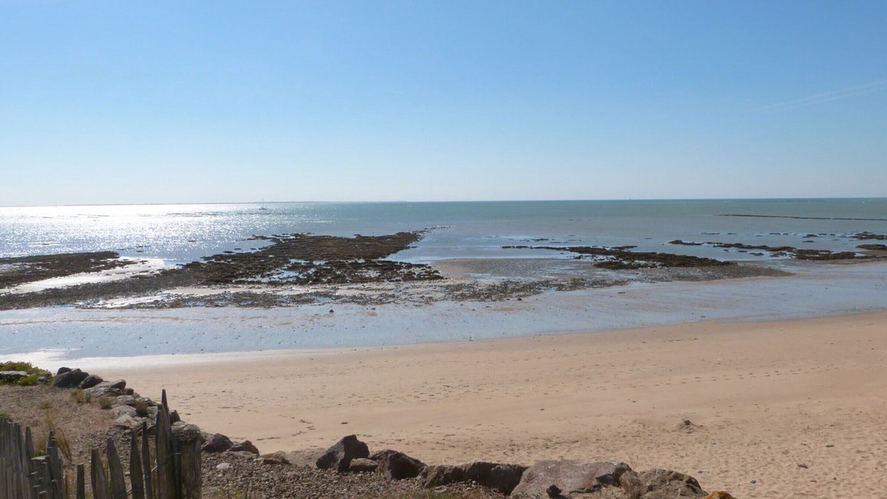 Photo of Others in La Tranche-sur-Mer