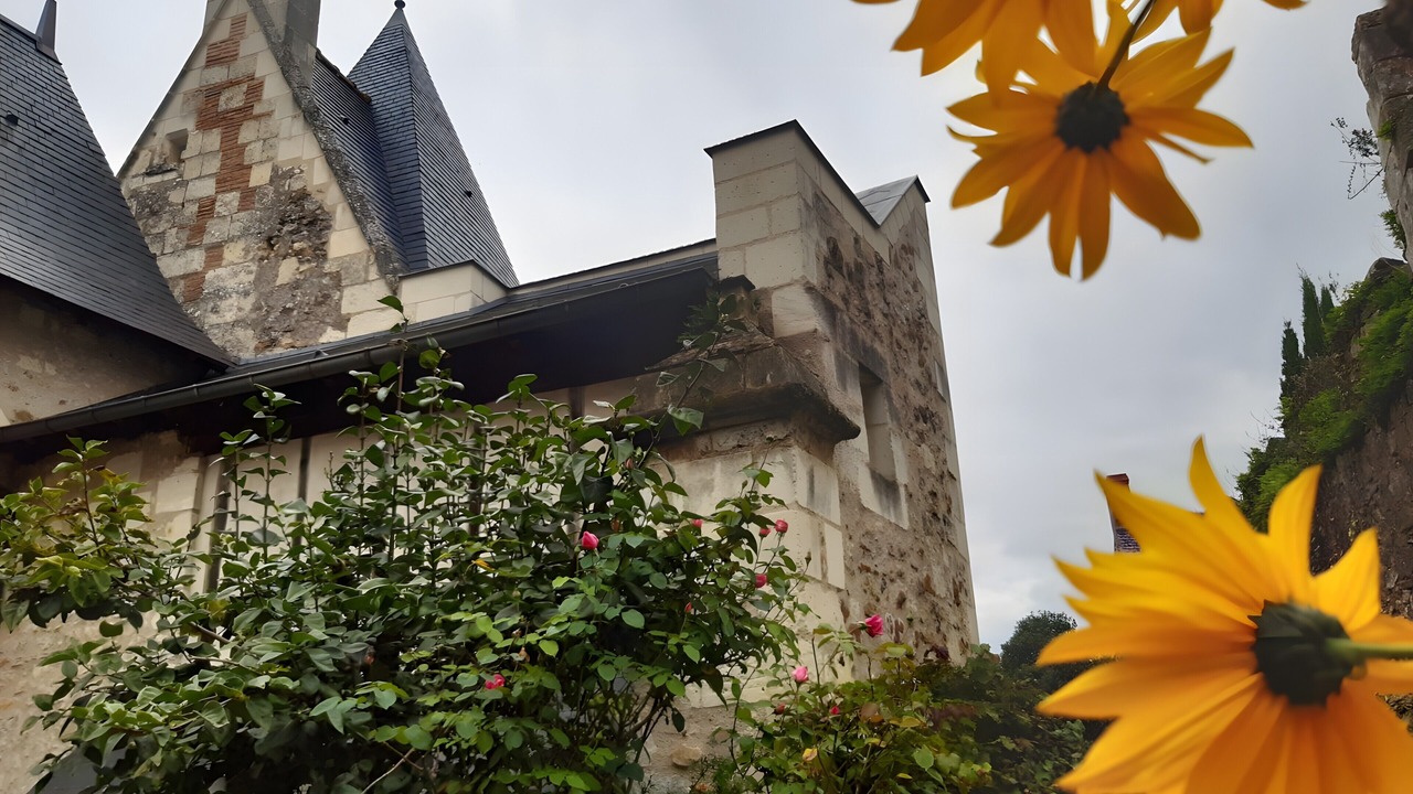 Photo of Others in Saint-Remy-la-Varenne