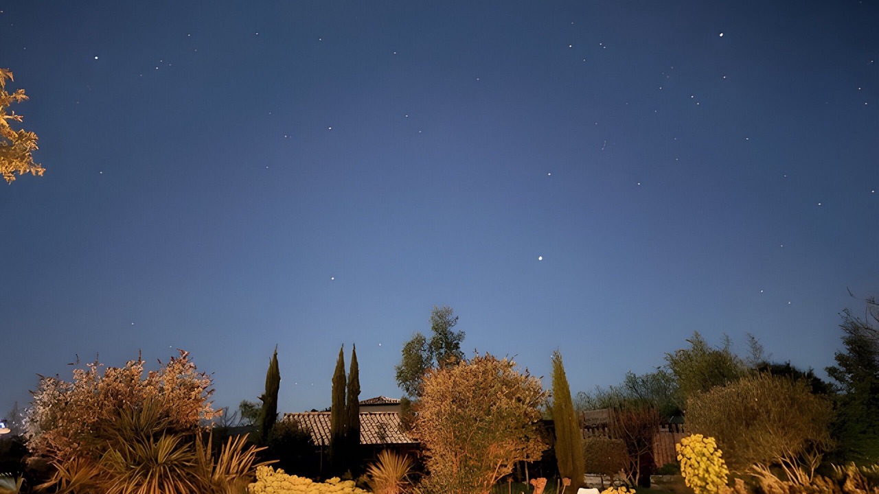 Photo of Outdoor in Gras