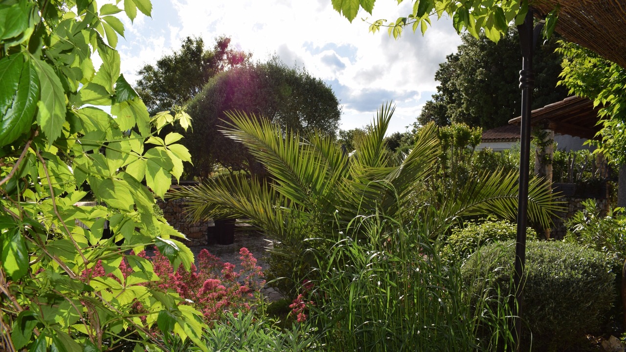 Photo of Outdoor in Gras