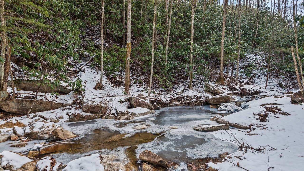 Photo of Others in Beech Mountain