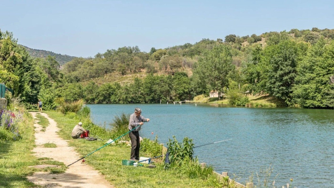 Photo of Others in Vinca