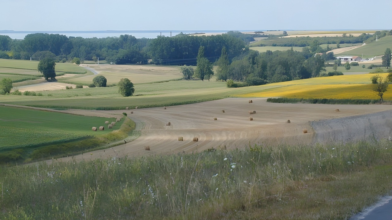Photo of Others in Montendre