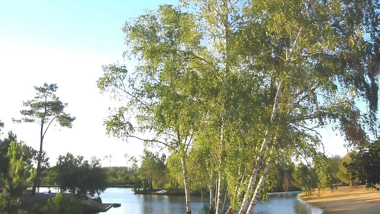 Photo of Others in Montendre