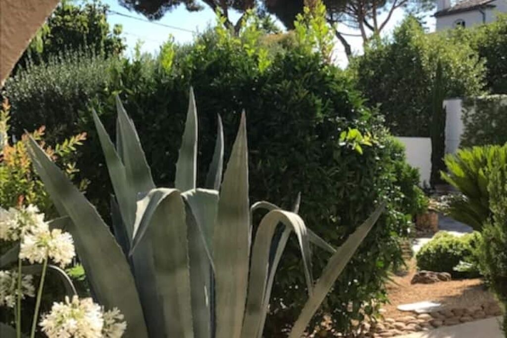 Photo of Outdoor in Perols
