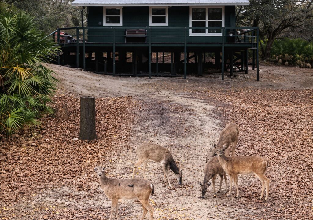 Photo of Outdoor in Arcadia