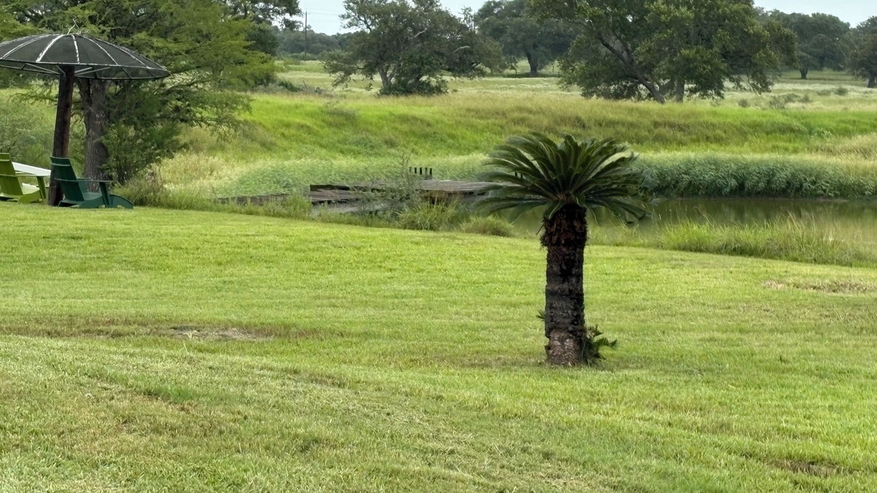 Photo of Outdoor in Yoakum