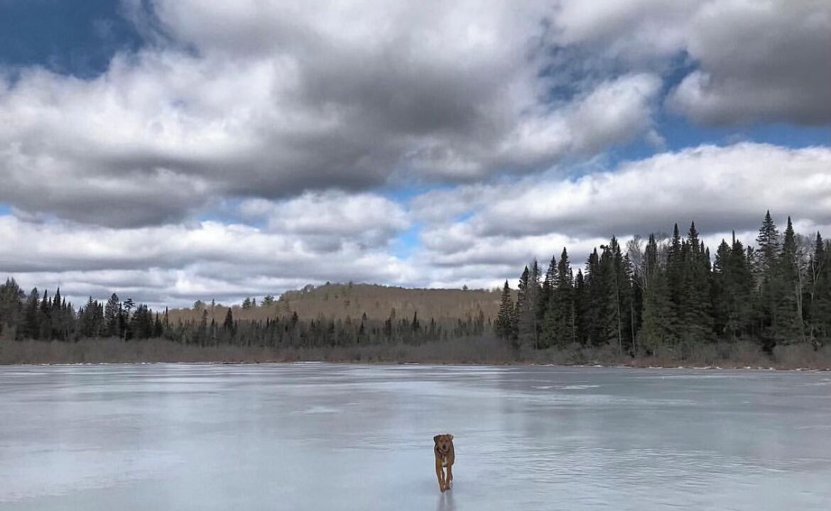 Photo of Others in Hastings Highlands