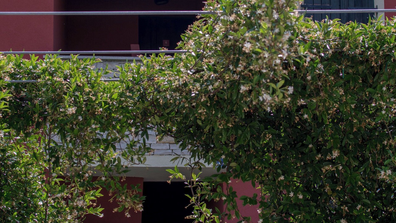 Photo of Outdoor in Basanija