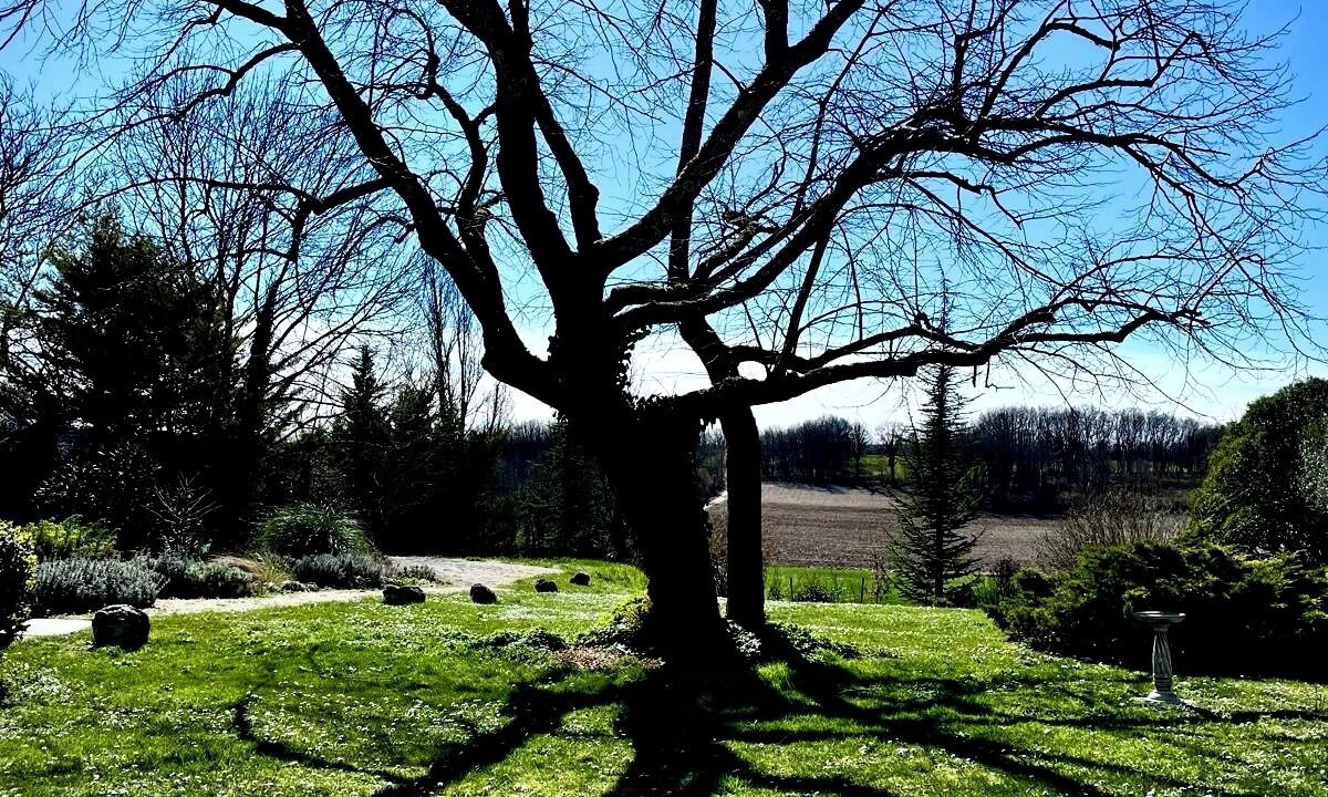 Photo of Outdoor in Belveze